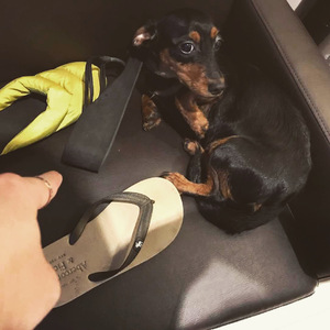 爆乳视频Xx逼水
